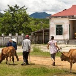 Vietnam Village Life