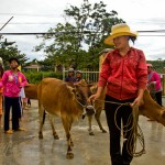 Local people happy about receiving new animals for the Village
