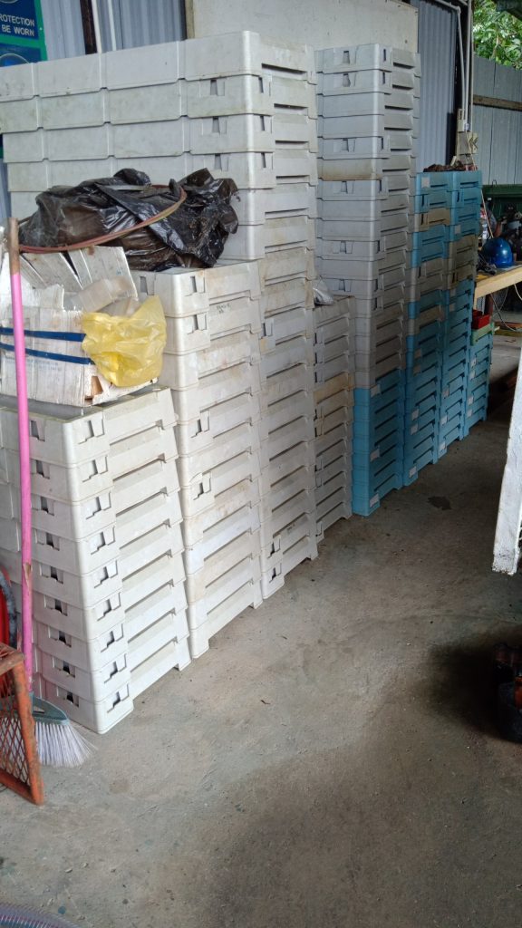 Core boxes Drillcorp yard