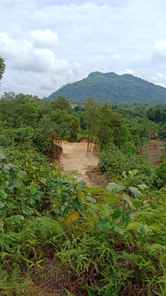 Drill pad ready 12 Nov 2021